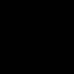 Meet your Posher, Ty